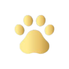 Logo patte dorée